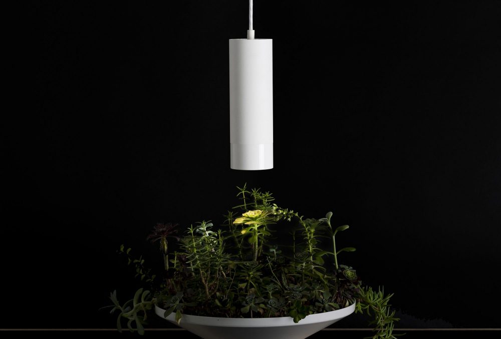 T_MINI PENDANT