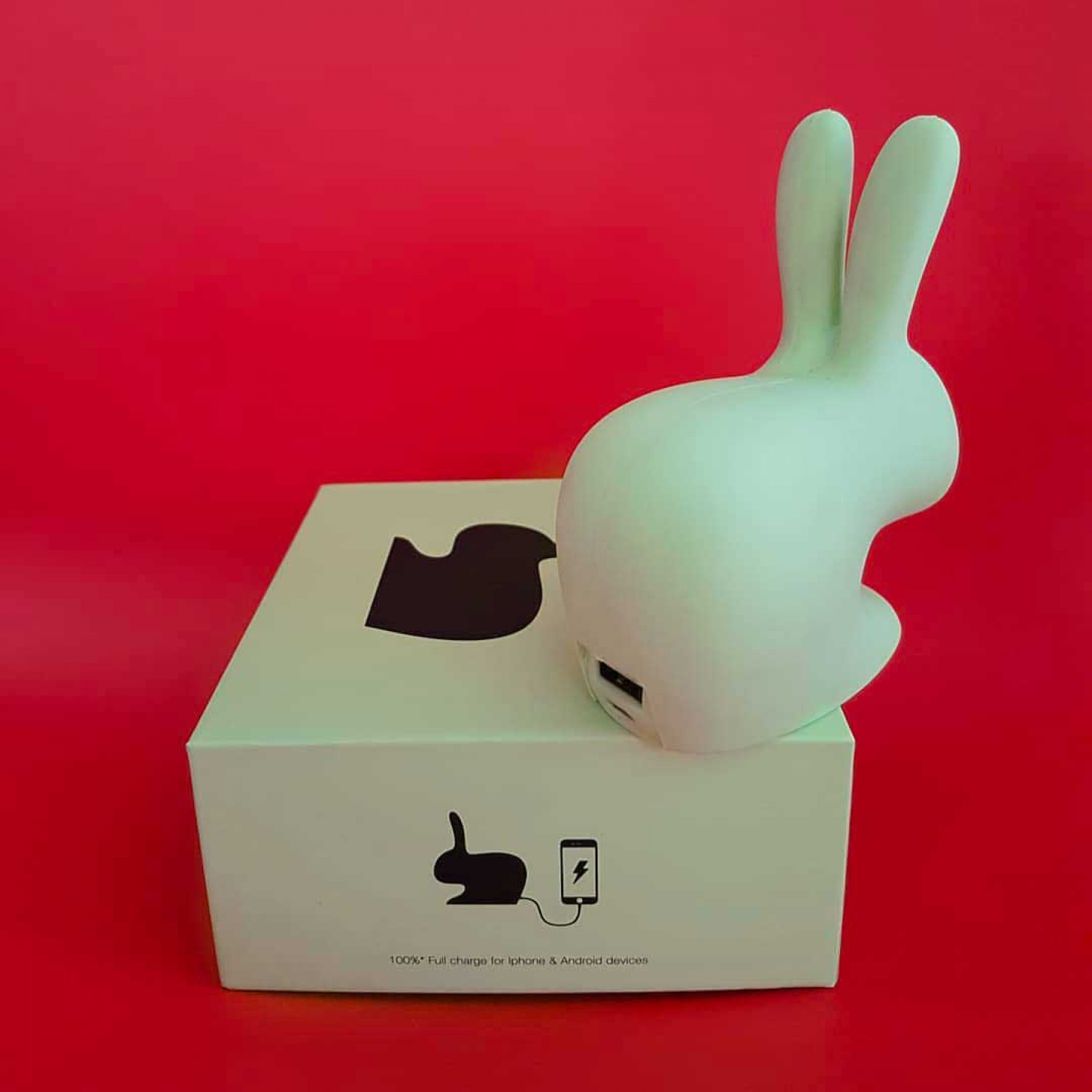 Rabbit MINI – Set of 5 pieces