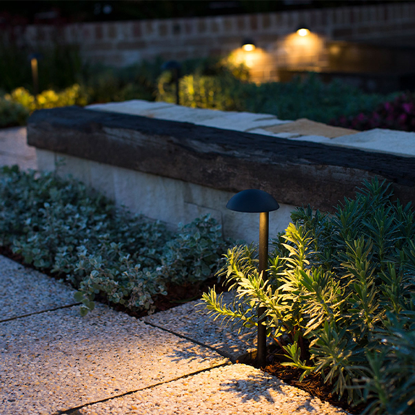 Gardens at night