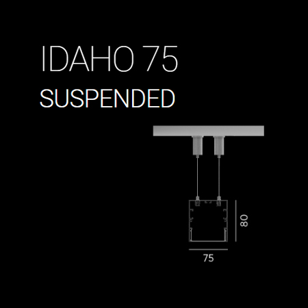 IDAHO 75 SYSTEM SUSPENDED